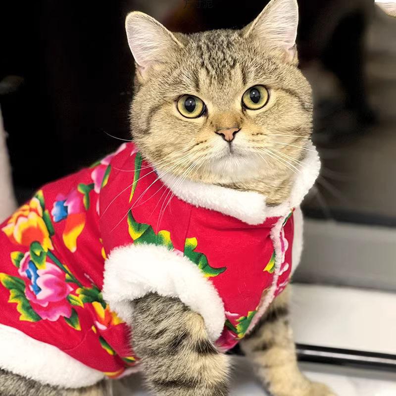 Warm Cat Clothes Festive Floral Cotton Coat Winter New Year Outfit for Kittens Pet Dog Tang Suit