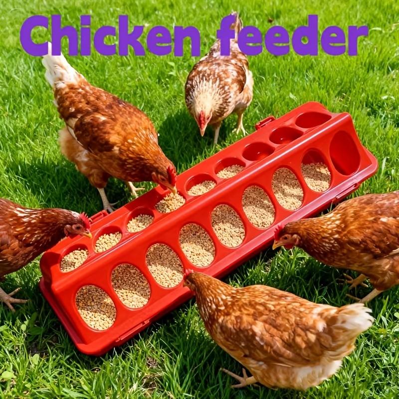 Chicken Feeder Multi-Pore Food Box, Poultry Feed Dispenser, Anti-Scrambling Chicken Slot, Farming Supplies, Chicks & Quail Feeders, Chicken Feeder For Birds