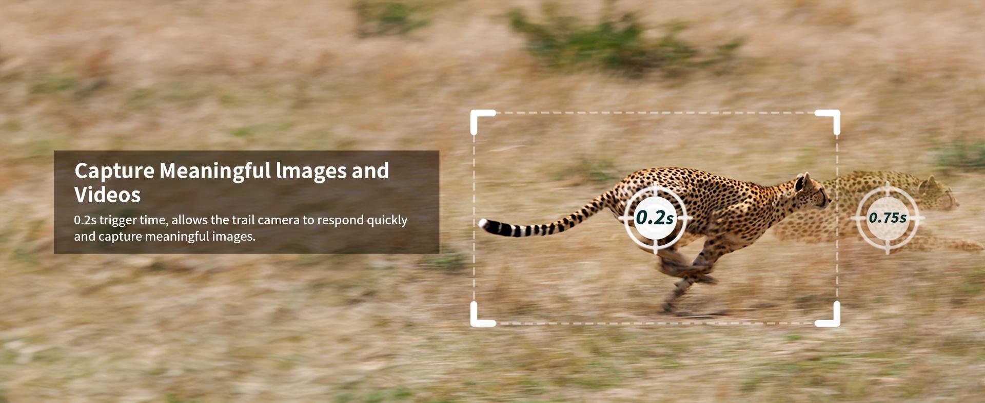 [4K Live]4G LTE Cellular Trail Camera with Forever Solar Powered, Motion Activation 0.2 Second Trigger Time, Unlimited Data Plan Built-in SIM Card(subscription required)