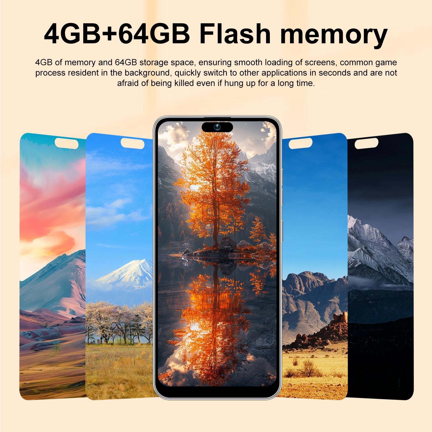 Astarry-17 Pro Max Android Phone, 64GB Storage, 4GB RAM, 6.93-Inch HD Display, 4100mah Battery, Dual Sim, 5+13mp Camera, Face ID, WiFi, TF Card Support, Large Screen Smartphone, Android Mobile Smartphone, Cell Phone