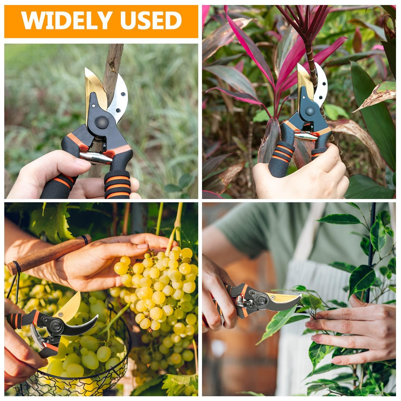 8.5" Professional Pruning Shears, Sk5 Steel Titanium Bypass, Garden Hedge Clippers, Ergonomic Pruners for Trees Shrubs Lawn