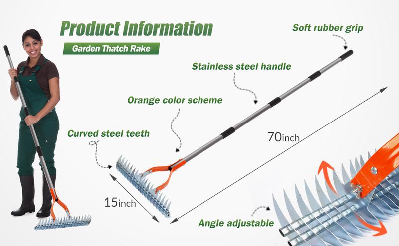 Walensee Thatch Rake, 15-Inch Lawn Thatching Rake, Robust Dethatcher Rake, Efficient Steel Metal Rake with Handle, Versatile Grass Grooming Rake for Cleaning Dead Grass