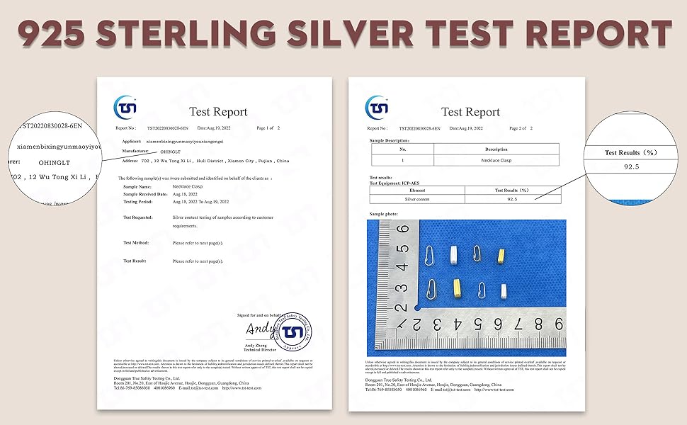 OHINGLT 10 Pieces Jewelry Making Clip Clasps - Clip Clasps in 925 Sterling Silver, Fashionable and Delicate Necklace Pendant Clasps