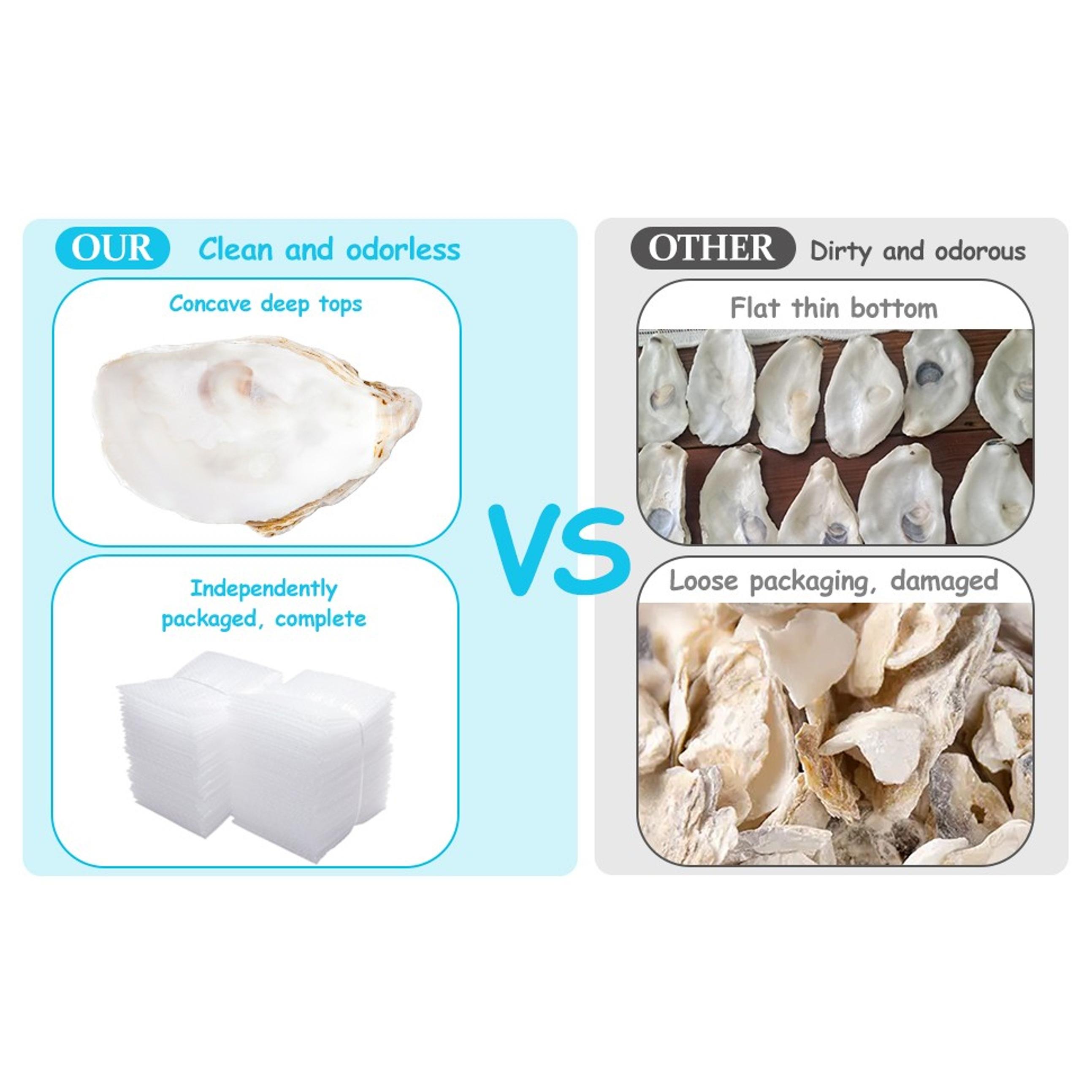 10Pcs 4"-5" Large Oyster Shells for Crafts, Painting, Beach Themes, Wedding, Christmas & Home Decoration - Natural Sea Shells for Crafting