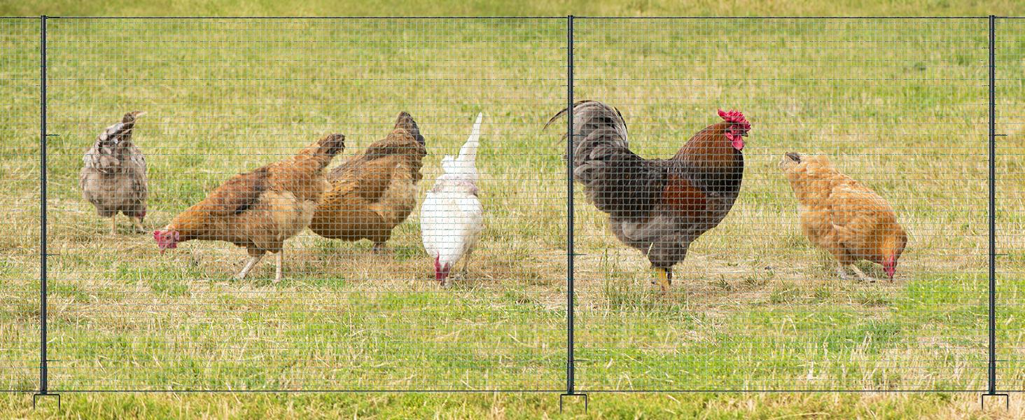 Lilypelle Non Electric Fence Netting, 40" x100' / 40" x164' Boundary Fence, Portable Poultry Fence for Dogs, Chickens, Ducks in Backyard, Garden, Farm Lilypelle Non Electric Fence Netting, 40" x100' / 40" x164' Boundary Fence, Portable Poultry Fence for Dogs, Chickens, Ducks in Backyard, Garden, Farm