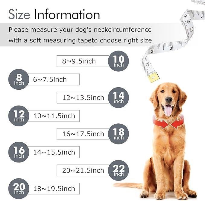 Silver Chain Collars for Large Dogs with Diamond ,Sparkly Bling Metal Cuban Link Dog Collars, Rhinestone Glitter  Necklace for Large Pet Dogs 24 inch