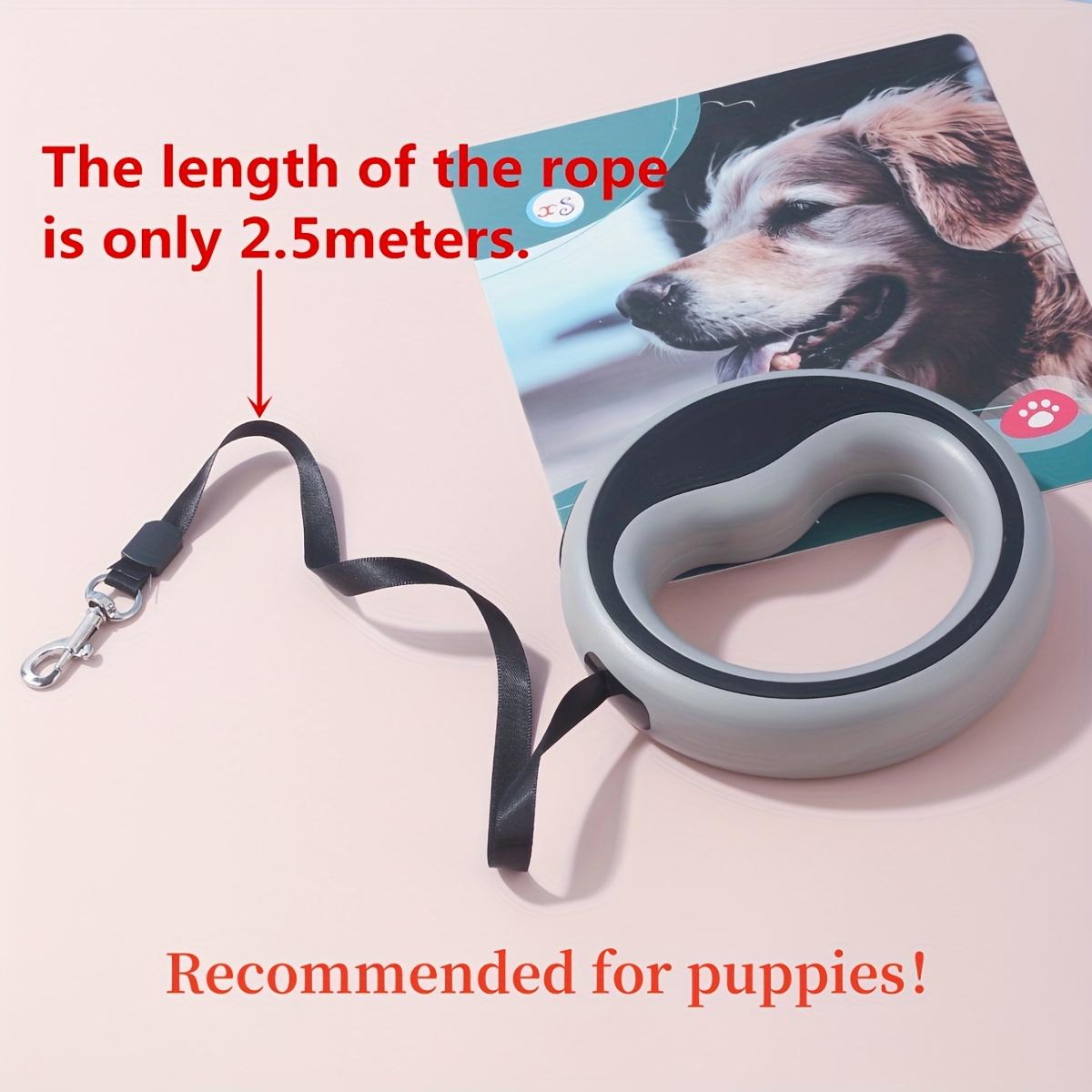 Retractable Dog Leash with 1-Button Lock, Leash Included, Outdoor Pet Walking Accessory for Small Dogs & Cats Retractable Dog Leash with 1-Button Lock, Leash Included, Outdoor Pet Walking Accessory for Small Dogs & Cats