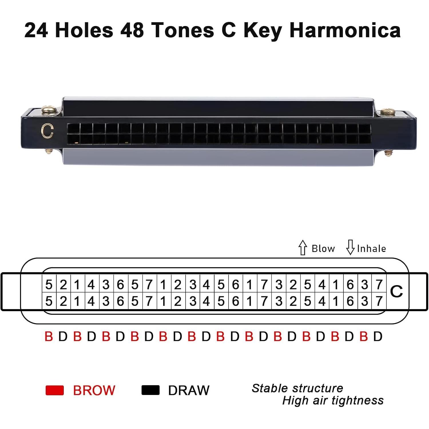 Blues Harmonica 24 Hole C Key with Case, Mouth Organ Harp, Diatonic Harmonica for Beginner, Adult, Professional, Students, , Gifts, Black