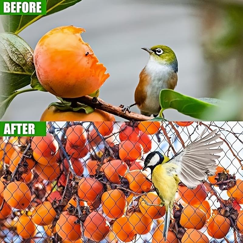 Multi-Scene Protection, Affordable Choice, Pond Barrier Net, Large Coverage, Garden Fence, Chicken Coop, Farm Isolation, Reusable, Durable