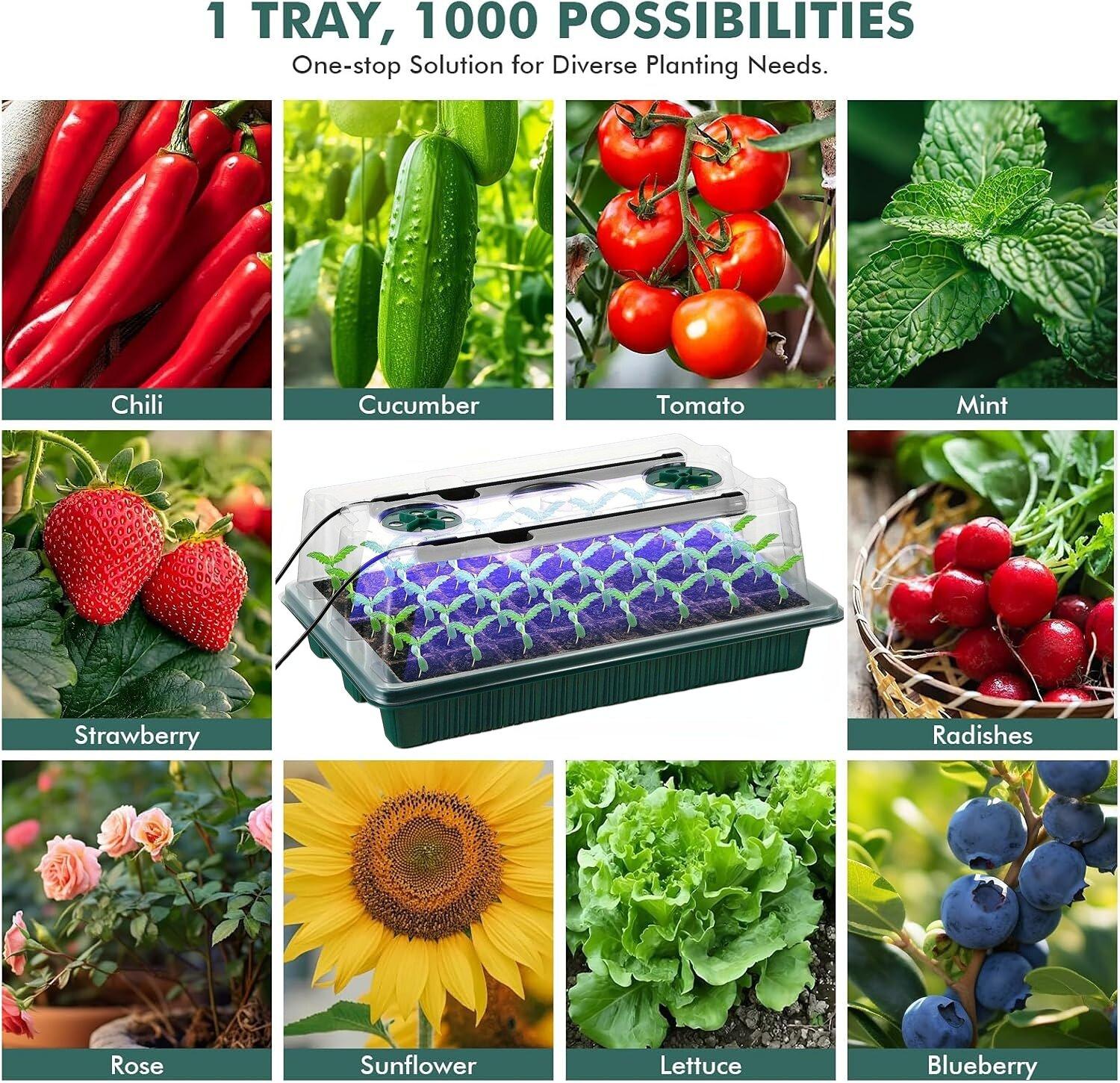 160-Cell Seedling Starter Tray with Grow LED Lights, 4 Sets USB-Powered Germination Kit with Humidity Vents, Drainage Holes and Planting Tools, Garden Accessories and Growing Kit, Great Gift 160-Cell Seedling Starter Tray with Grow LED Lights, 4 Sets USB-Powered Germination Kit with Humidity Vents, Drainage Holes and Planting Tools, Garden Accessories and Growing Kit, Great Gift