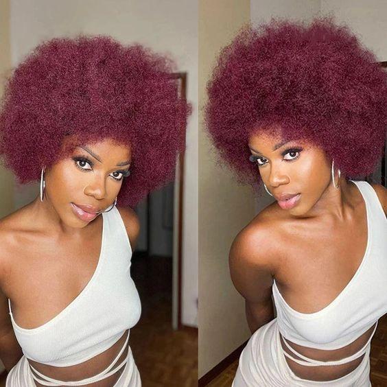 Imani 14 Inch Afro Kinky Curly Wig Short Curly Wig Human Hair for Black Women 250% Density 13x4x2 HD Lace Frontal Wig for Daily Use with Natural Hairline Affordable Wig