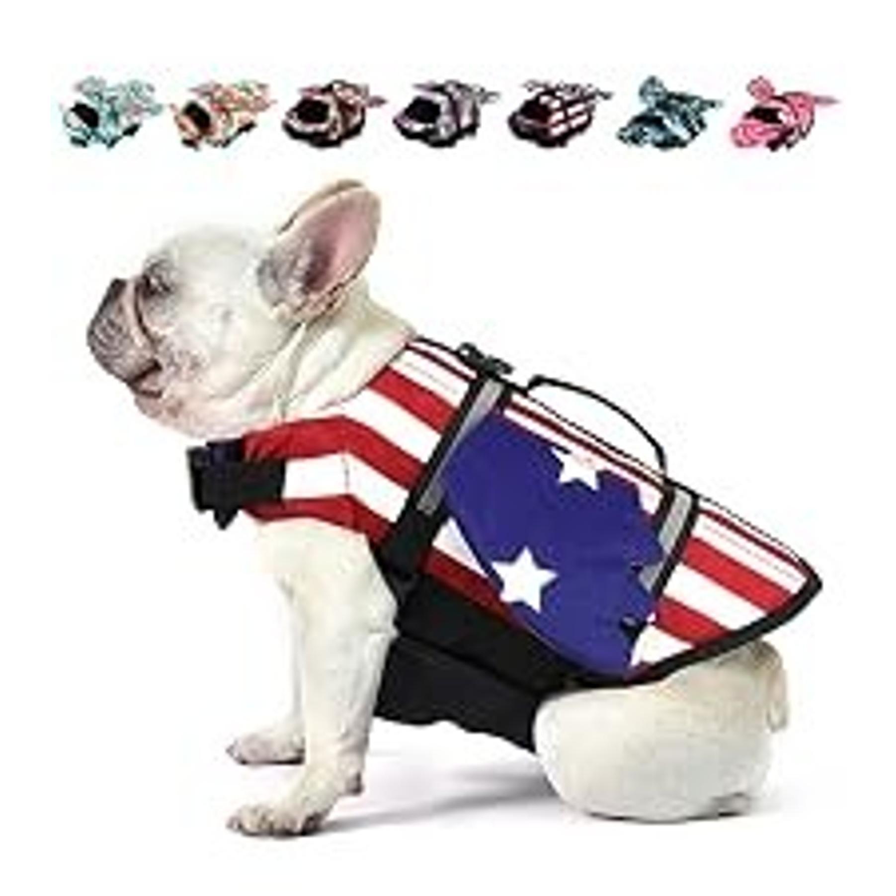 Dog Life Jacket, Cute Wings Adjustable Dog Life Vest with Chin Float and Handle for Swimming Boating Reflective High Buoyancy Swim Float Vest for Small Medium Large Dogs (Pink, M) Dog Life Jacket, Cute Wings Adjustable Dog Life Vest with Chin Float and Handle for Swimming Boating Reflective High Buoyancy Swim Float Vest for Small Medium Large Dogs (Pink, M)