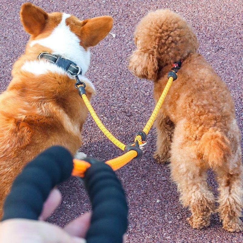 Outdoor Dog Leash, One Drag Three, Reflective Safety, Comfortable Handle, Durable Pet Walking Lead, Ideal for Daily Use & Training