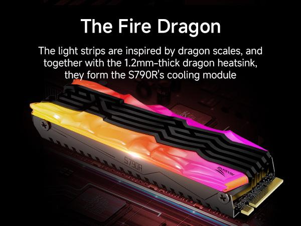 FANXIANG S790R 4TB NVMe M.2 SSD PCIe 4.0 x4, Internal Solid State Drive with RGB Heatsink, Up to 7450MB/s, 3D NAND TLC, PS5 Compatible, Ideal for Gaming, Creators & Professionals FANXIANG S790R 4TB NVMe M.2 SSD PCIe 4.0 x4, Internal Solid State Drive with RGB Heatsink, Up to 7450MB/s, 3D NAND TLC, PS5 Compatible, Ideal for Gaming, Creators & Professionals