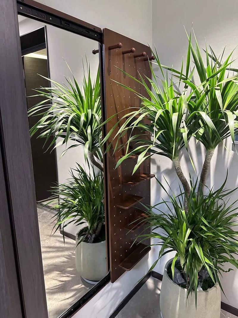 【School】Pegboard Mirror, 100% Solid Wood - No MDF, Mirror with Shelf & Hooks, Rustic Wall-Mounted Mirror with Multifunctional Panel for Bedroom, Living Room, Entryway