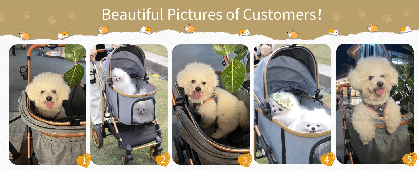 3-in-1 Pet Stroller for Medium Dogs & Cats up to 55lbs, Premium Design with Detachable Carrier & Easy One-Click Folding, Comfortable, Safe, Durable,Stable 4-Wheel Cat Stroller， Perfect for Travel & Camping Outdoor
