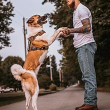 【Deals For You】Auroth Tactical Dog Harness for Small to Large Dogs  No Pull Adjustable Pet Harness Reflective K9 Working Training Easy Control Pet Vest Military Service Dog Harnesses