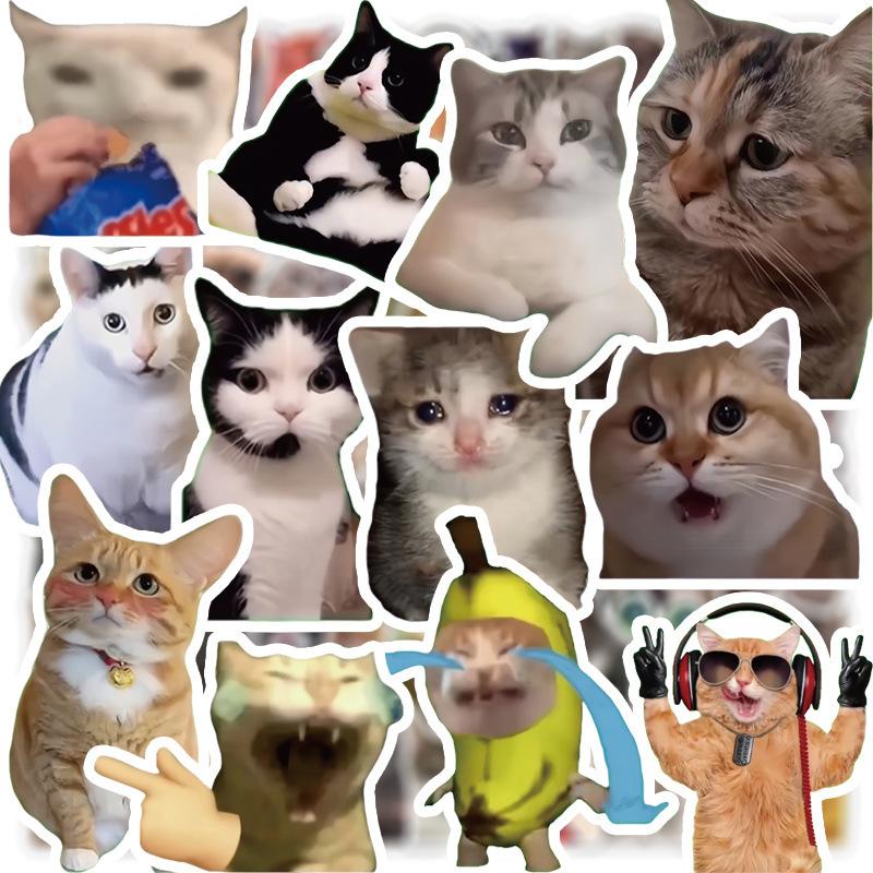300 cat meme stickers, cute and funny quirky cat Instagram-style emoji and meme images