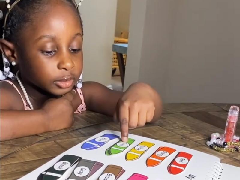 Mallify Busy Book for Toddlers 3-5, Montessori Busy Book with 30 Themes and 8 Markers, Kids Binder and Early Learning Toys, Preschool Busy Books for Toddlers, Tracing Coloring Book, BusyTots