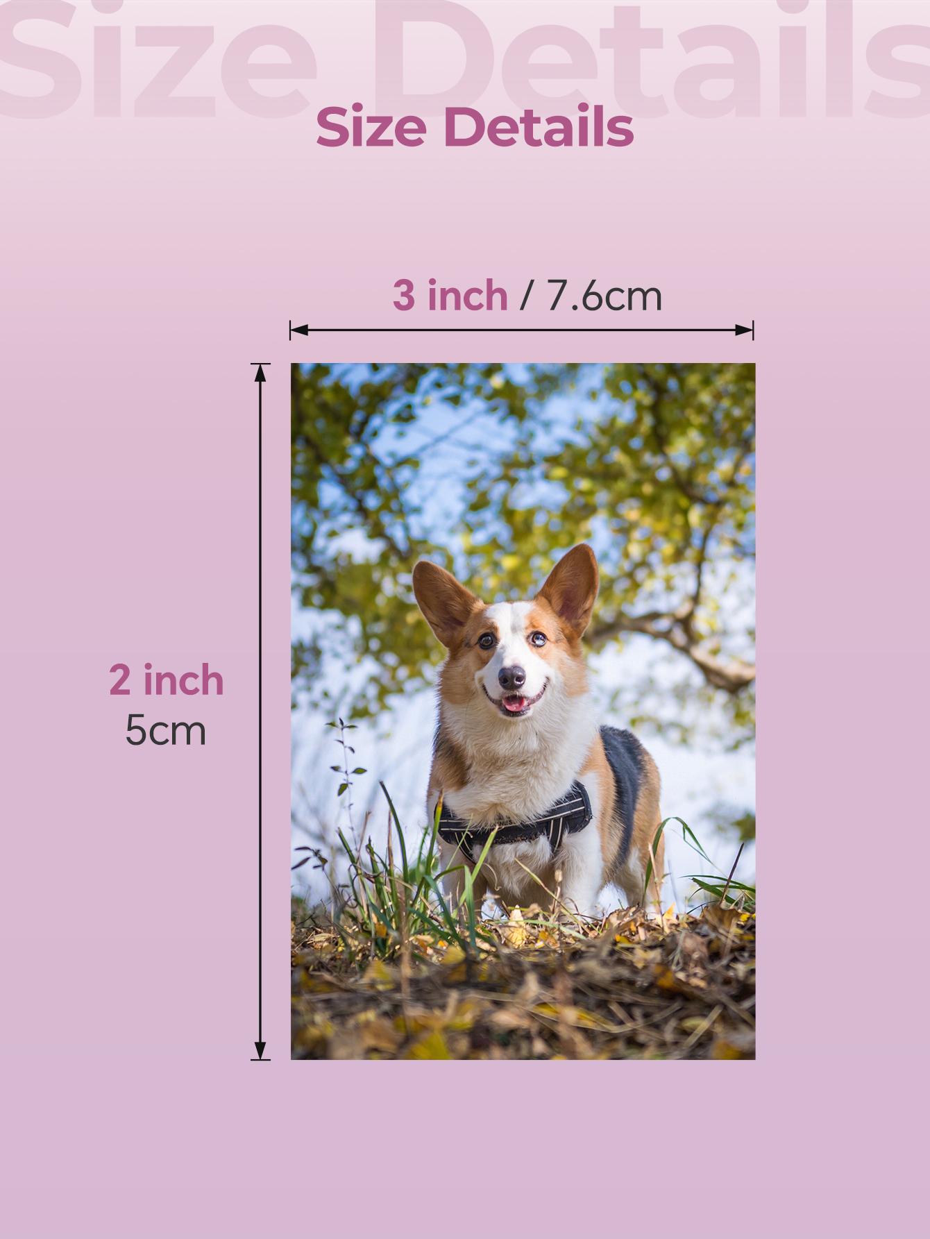 2x3” Photo Paper for HPRT MT53, Peel & Stick, Adhesive, 100-200 Sheets, Bulk Refill