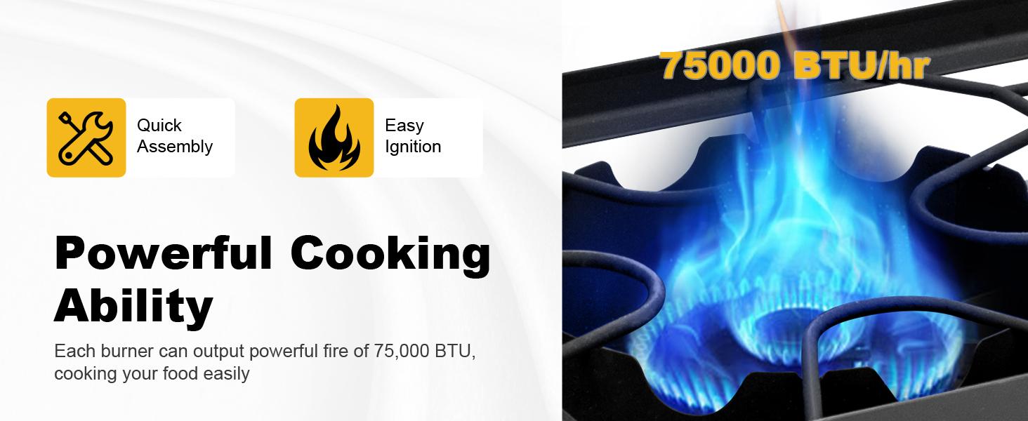 GEEKHOM Outdoor Camping Stove, Dual Burner Propane Gas Cooker w/Detachable Legs & 0-20 PSI Regulator & CSA Approval for Camp Patio RV, Cast Iron, 150,000-BTU