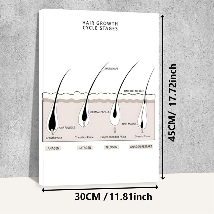 Hair type guide canvas art, wooden framed wall decoration, featuring hair growth cycle charts, damaged hair condition charts, hair anatomy diagrams, and curly hair charts, suitable for hair salon decoration.