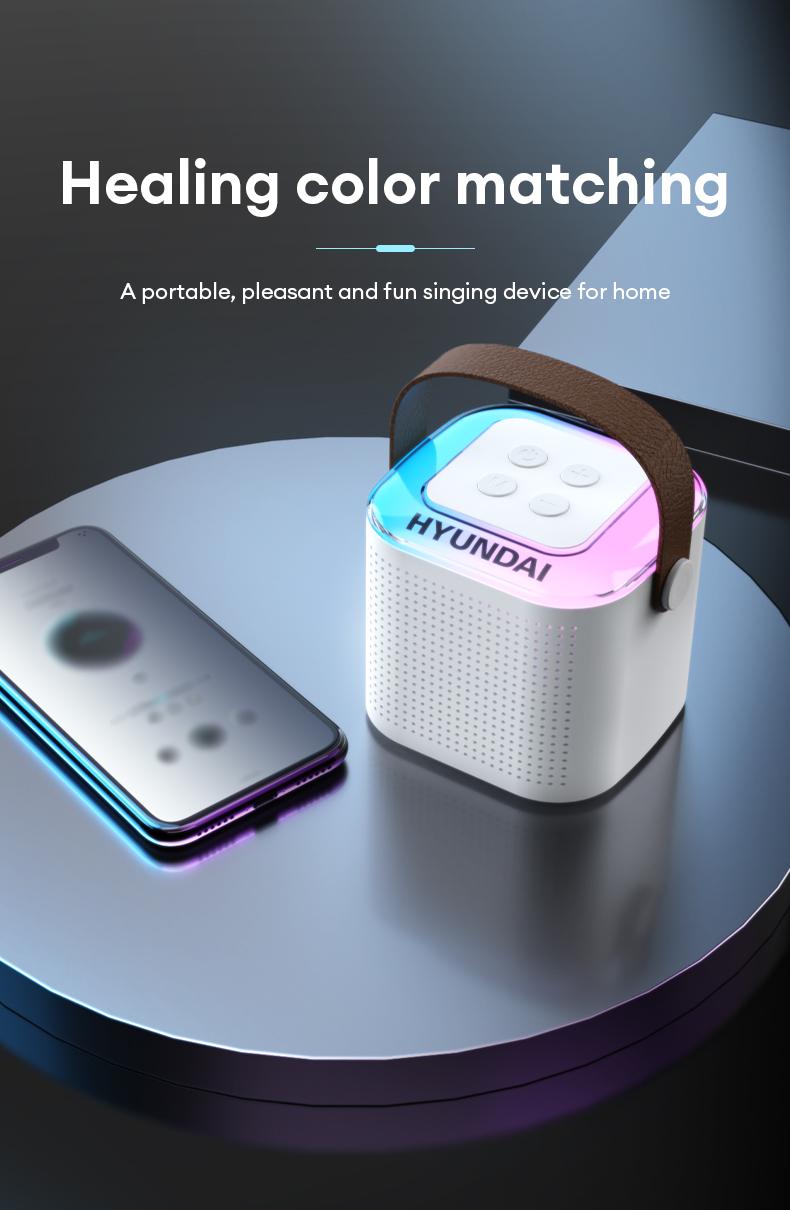 HYUNDAI S13 Portable Wireless Karaoke Bluetooth Speaker With Microphone HIFI Stereo Sound Subwoofers, KTV Speaker Subwoofer With Lighting Effect