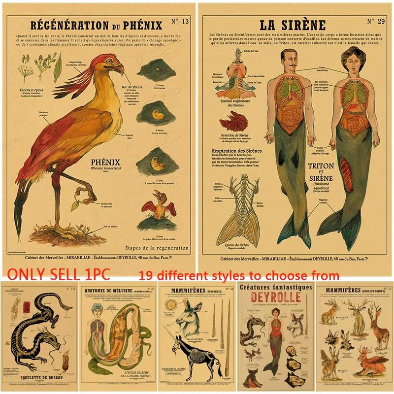 1pc Unframed Anatomy of Mermaid Poster Bird Curious Creatures Imitation kraft paper printing Vintage Home Room Cafe Bar Art Wall Decor Aesthetic Painting (19 different styles to choose from)