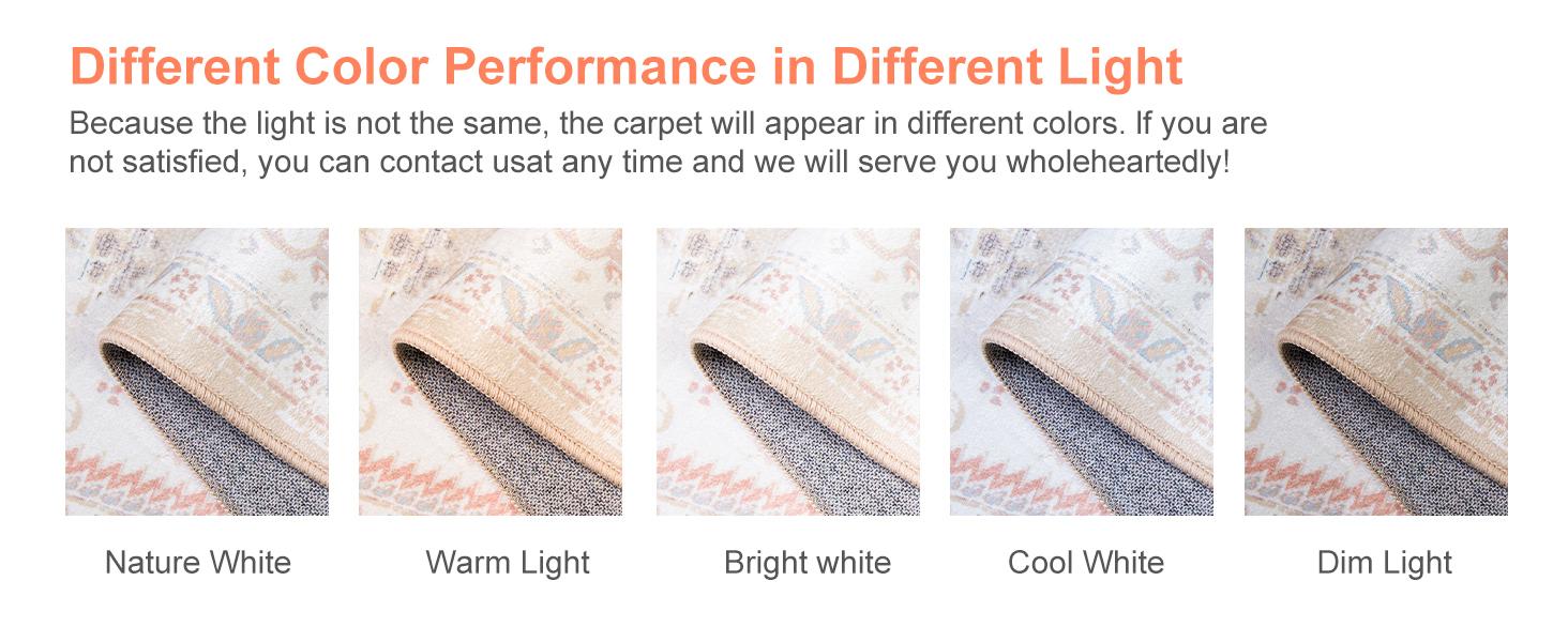 BESTSWEETIE Machine Washable Area Rugs for Living Room Floor Carpet Doormat Vintage Runner Rug for Bedroom Indoor Dinning Room Nursery Large Area Rug Outdoorfun