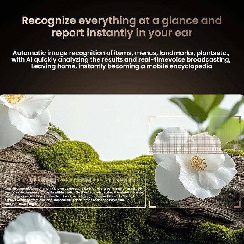 Multifunctional  Smart AI Camera Glasses with 8MP Lenses, Touch-Button Adjustment for Travel & Outdoor , Hands-Free Photography, 140+ Languages Real-Time Translation, Bluetooth Music, Wearable Video Recording, UV Protection