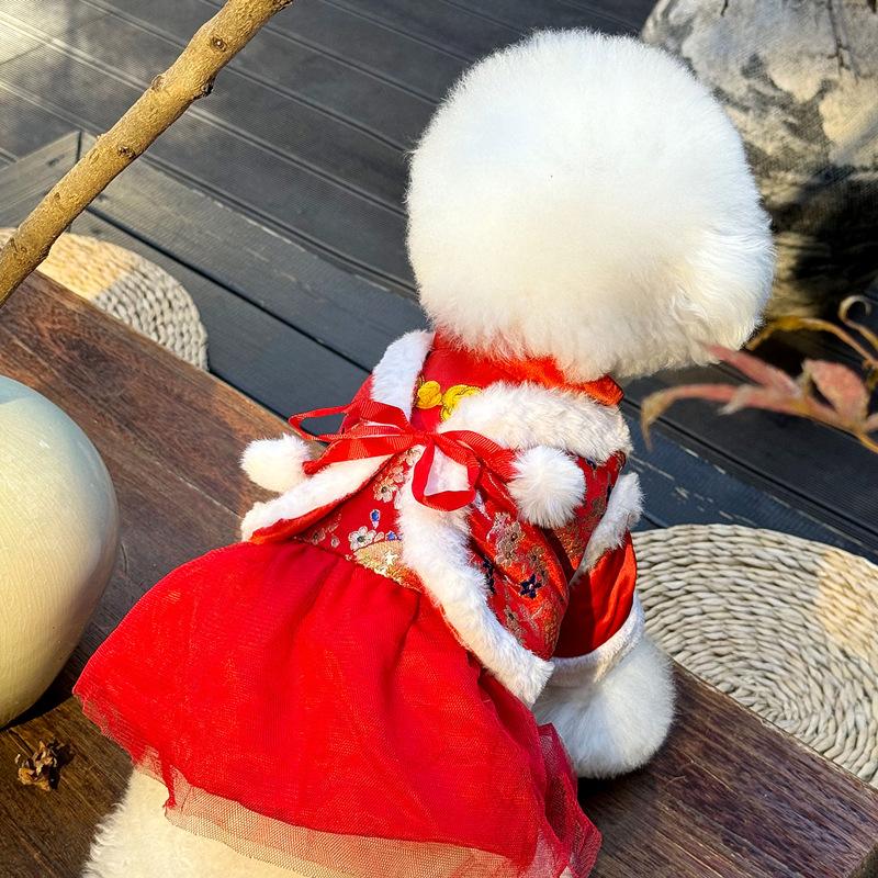 Pet New Year Outfit 3D Butterfly Dog Clothes with Leash Festive for Teddy Bichon Cat Autumn Winter