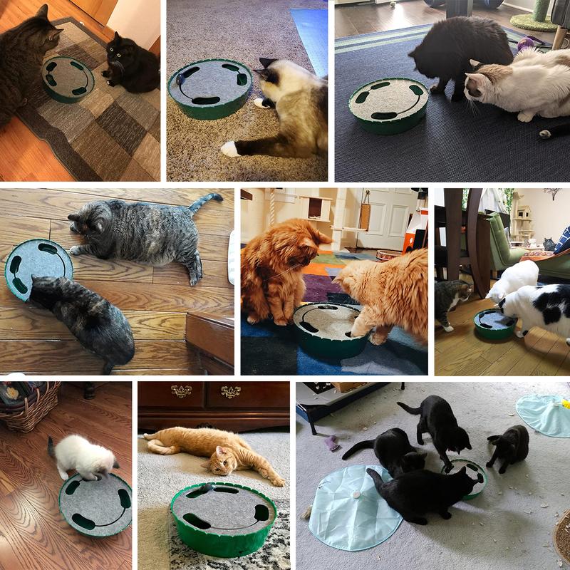 Pawaboo 4 Holes Whack-a-mole Electric Cat Toy, Interactive Cat Toy with Running Mouse, Pop and Play Hide Seek Cat Toy,Pet Supplies