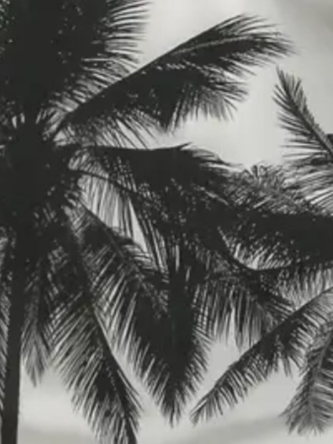 Men's Summer Casual 3D Coconut Tree Set, Lightweight Polyester, Round Neck, Short Sleeve Shorts, Dynamic Color Design