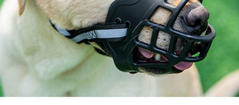 2026 Dog Muzzle to Prevent Eating and Barking, Anti-Barking Device for Small, Medium, and Large Dogs, Pet Anti-Barking Mouth Cover