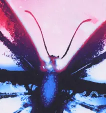 background preload poster image 