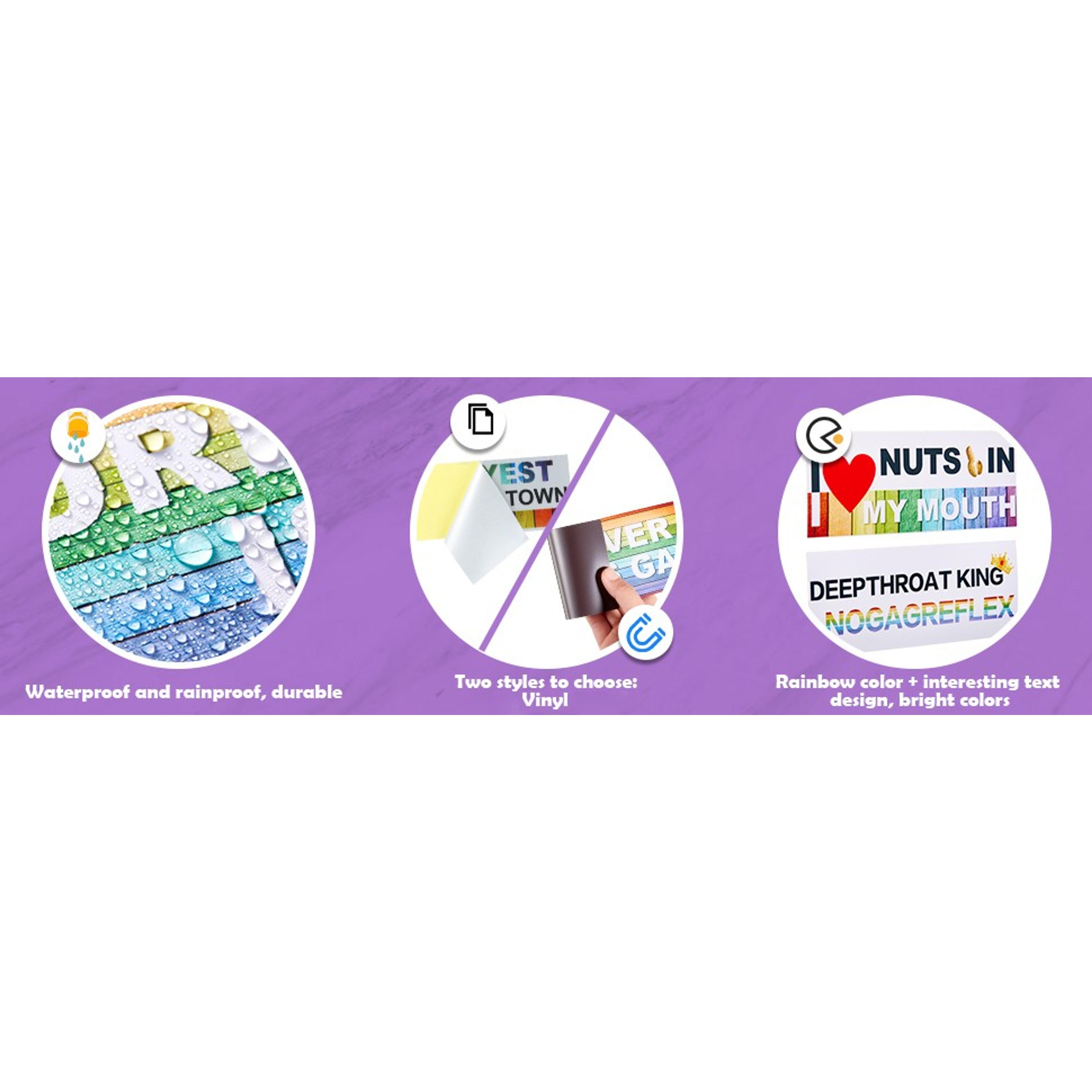 10 Pcs Funny LGBT Rainbow Bumper Decals Stickers Colorful Prank Car Stickers Magnetic Car Accessories for Truck Vehicle Luggage Window Refrigerator Stylish StyleGift