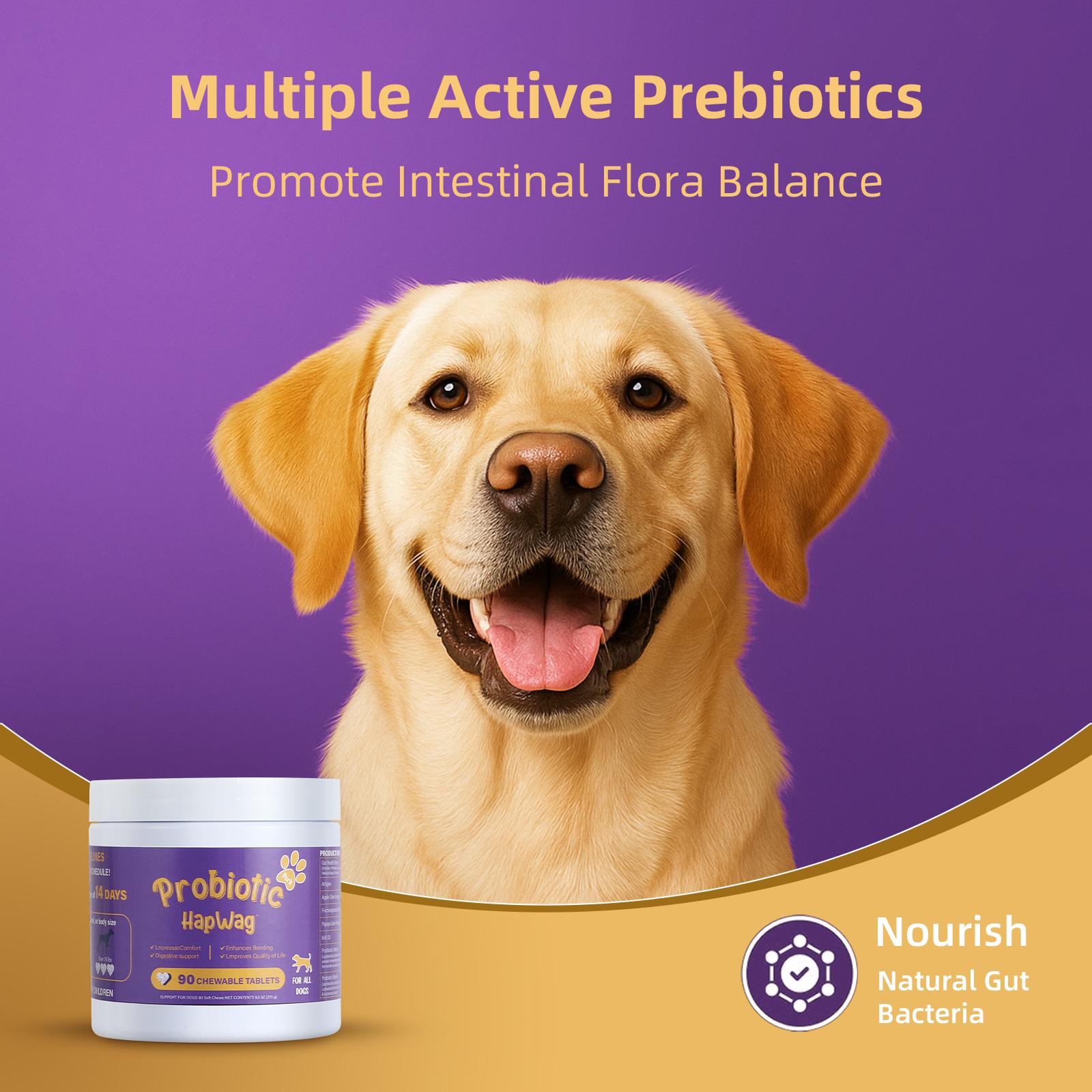 HAPWAG 8-in-1 Multivitamin Soft Chews for Dogs – Probiotics, Gut & Immune Support – Pork Flavor – 90 Treats HAPWAG 8-in-1 Multivitamin Soft Chews for Dogs – Probiotics, Gut & Immune Support – Pork Flavor – 90 Treats