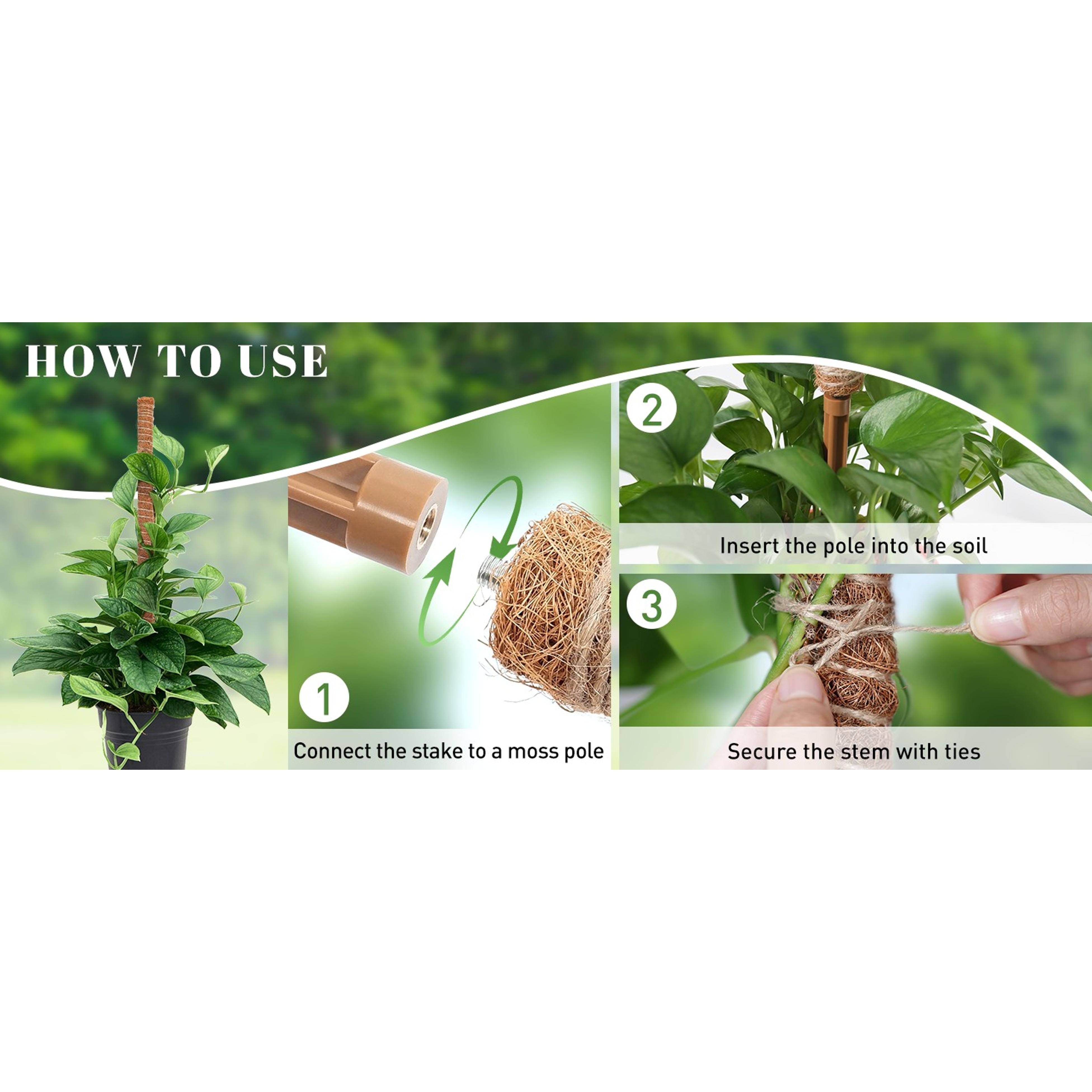 54 Inch Moss Pole, 3 Pack 16 Inch Moss Poles Monstera Plant Support, Moss Poles for Climbing Plants Indoor, Coir Plant Pole Sticks Support Stakes for Potted Plants, Pothos, Philodendron