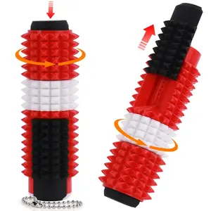 Spiky Sensory Fidget Toy for ADHD,SH, Pain Stimulator with Clicker, Spinner, Slider, Roller, Spiky Grip, 5-In-1 Stress Relief, Portable Keychain,For Teens (9+)and Adults