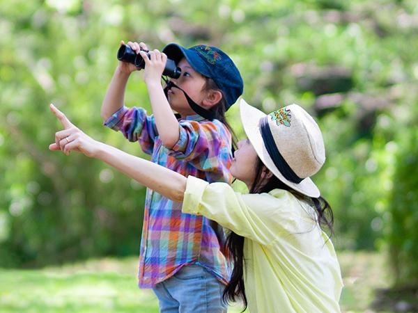 HTVRONT Manual Hat Heat Press Machine 110V - (2 Colors)