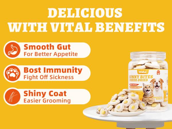【Live Big Deal】Wellix Sunny Bites – Healthy Chicken&Egg Yolk&Pumkin Freeze-Dried Treats for Cats & Dogs, 3.5oz