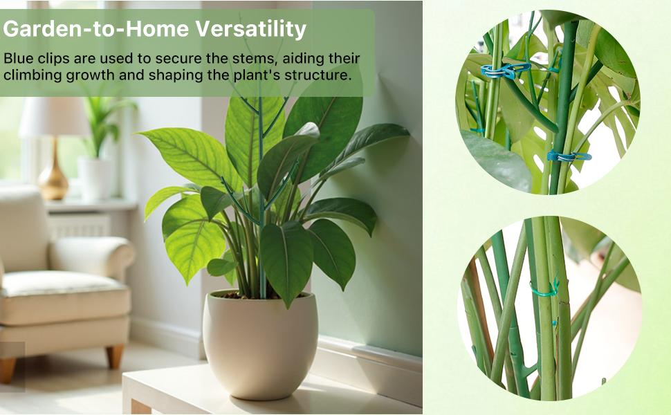6 Pack Stackable Monstera Plant Support, Plant Stakes for Indoor and Outdoor Plants Use, Garden Stakes for Climbing and Potted Plants, Pothos, Philodendron