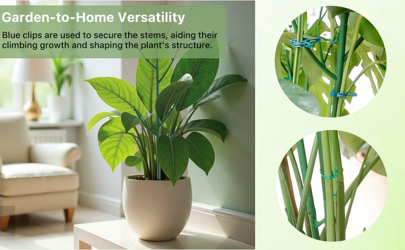 6 Pack of Stackable Monstera Plant Support - Garden Stakes for Indoor and Outdoor Plants, Great for Climbing, Potted Pothos and Philodendron