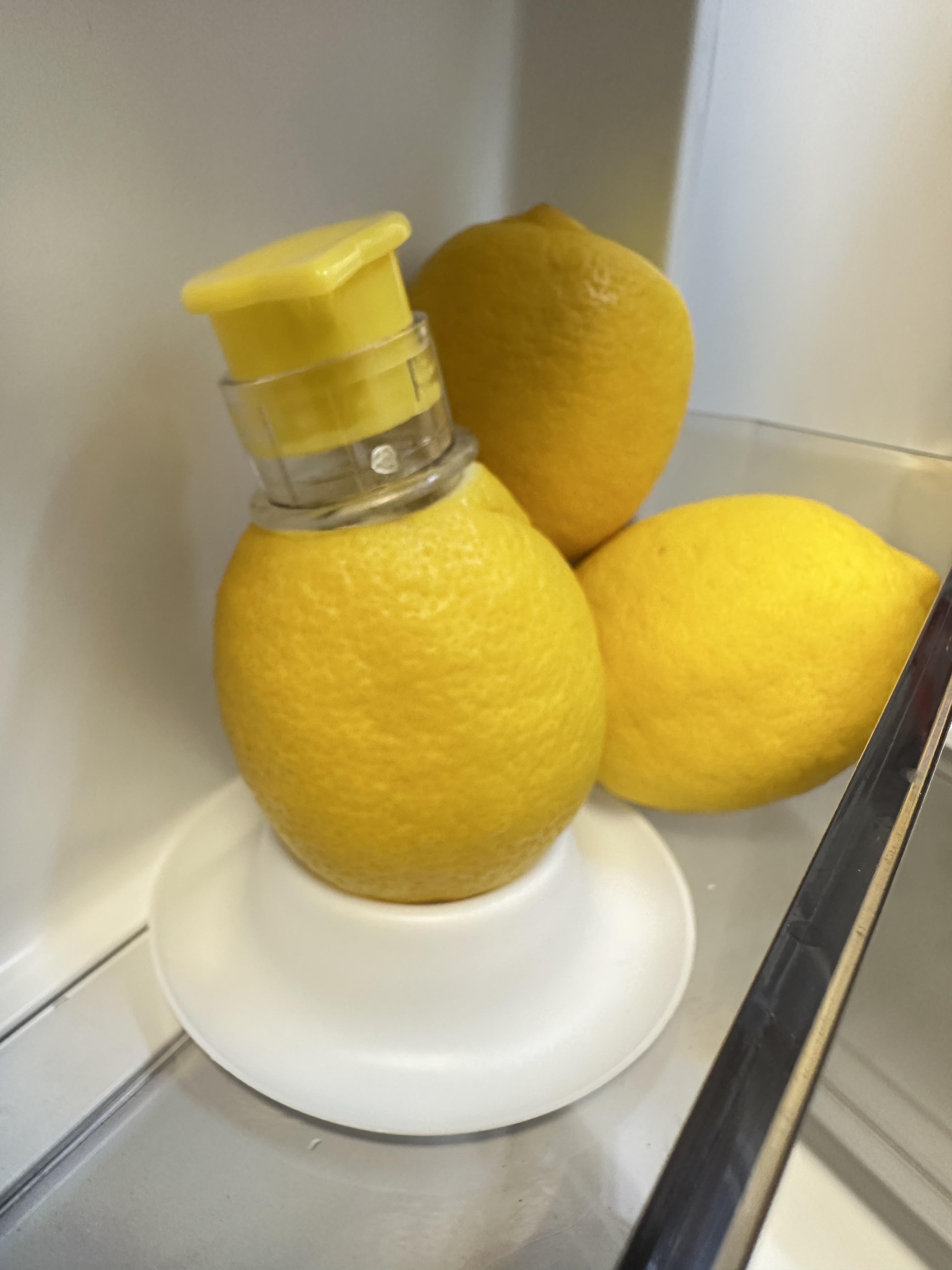 DG 2-Pcs Lemon Squeezer, Ergonomic Twist-Action ,Portable Manual Lemon Juicer, Compact  Handheld Lemon Press with Lids,Suitable for Birthday Gifts&Christmas gifts