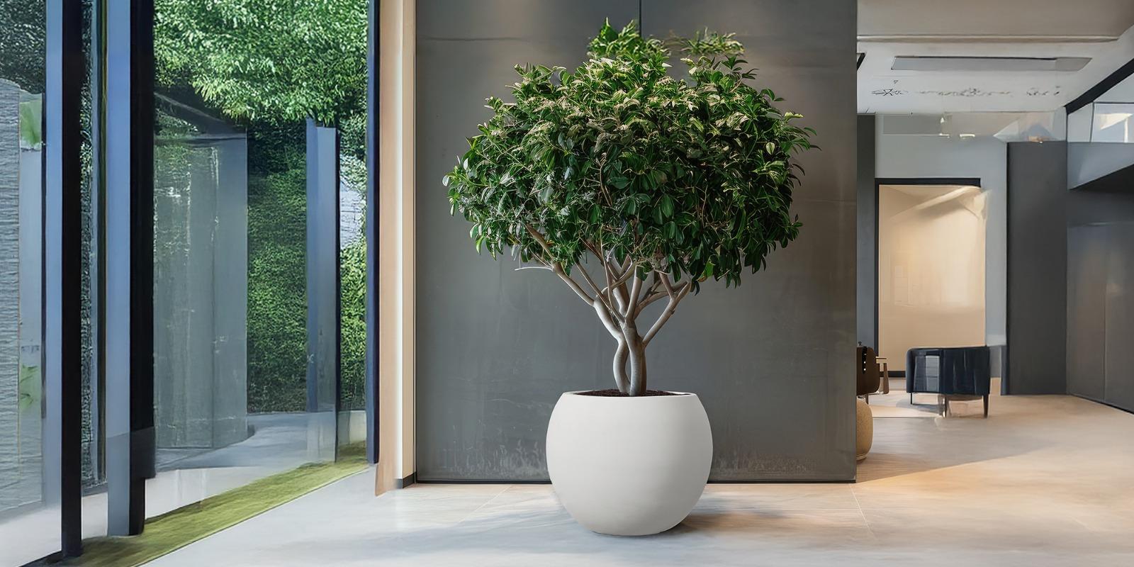 Modern Round Indoor Planters with Drainage Hole - White MgO Flower Pots, Large Size for Porch, Balcony & Indoor Areas