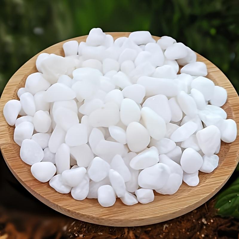 Natural Polished Pebbles 0.8-1.2cm, Mini Fish Tank Gravel, Succulent Cover Stone, Micro Landscape Decor, Vase Landscaping, Ecological Aquarium