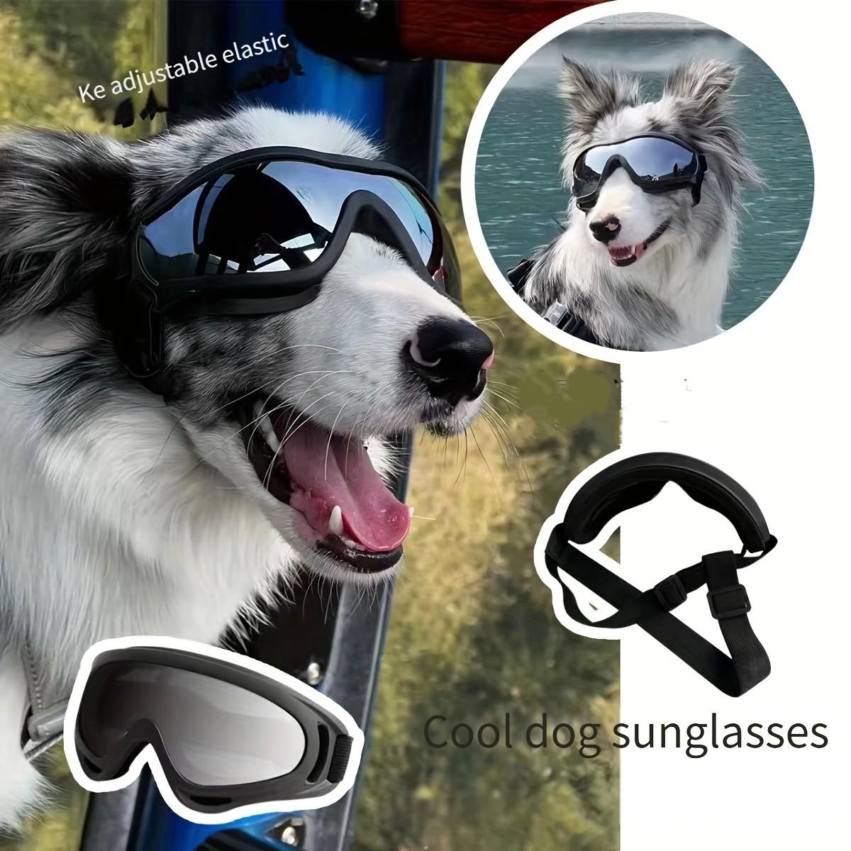 Adjustable Dog Goggles for Medium to Large Dogs, Outdoor Travel Eye Protection, Comfortable Pet Eyewear for Safe Adventures
