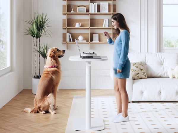 【TikTokShopBlackFriday】FLEXISPOT H8 Pneumatic Standing Desk – Height Adjustable Laptop Desk with Wheels, Small Mobile Sit Stand Table for Home Office, Bedside or Sofa Use
