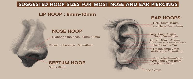 5Pcs G23 Titanium Nose Rings Hoops 20G 18G 16G Clicker Hinged Piercing Hoop Body Piercing Rings for Septum Cartilage Daith Rook Lip Tragus Helix Conch Ear Lobe Earrings Hypoallergenic Nose Piercing Jewelry Women Men 6/7/8/9/10mm