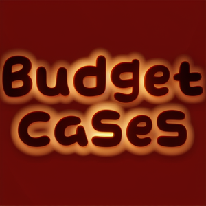 Budget Cases